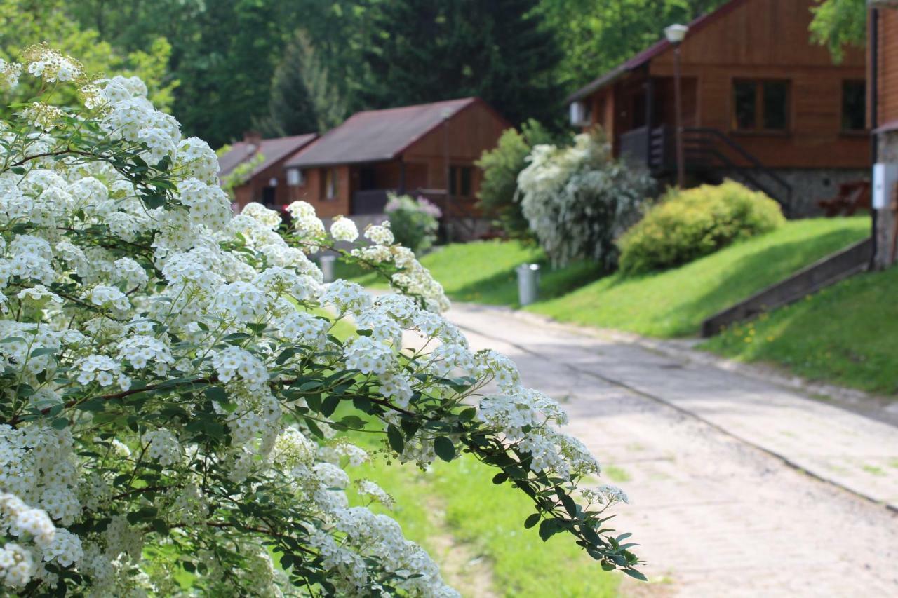 Zloty Potok Resort エクステリア 写真